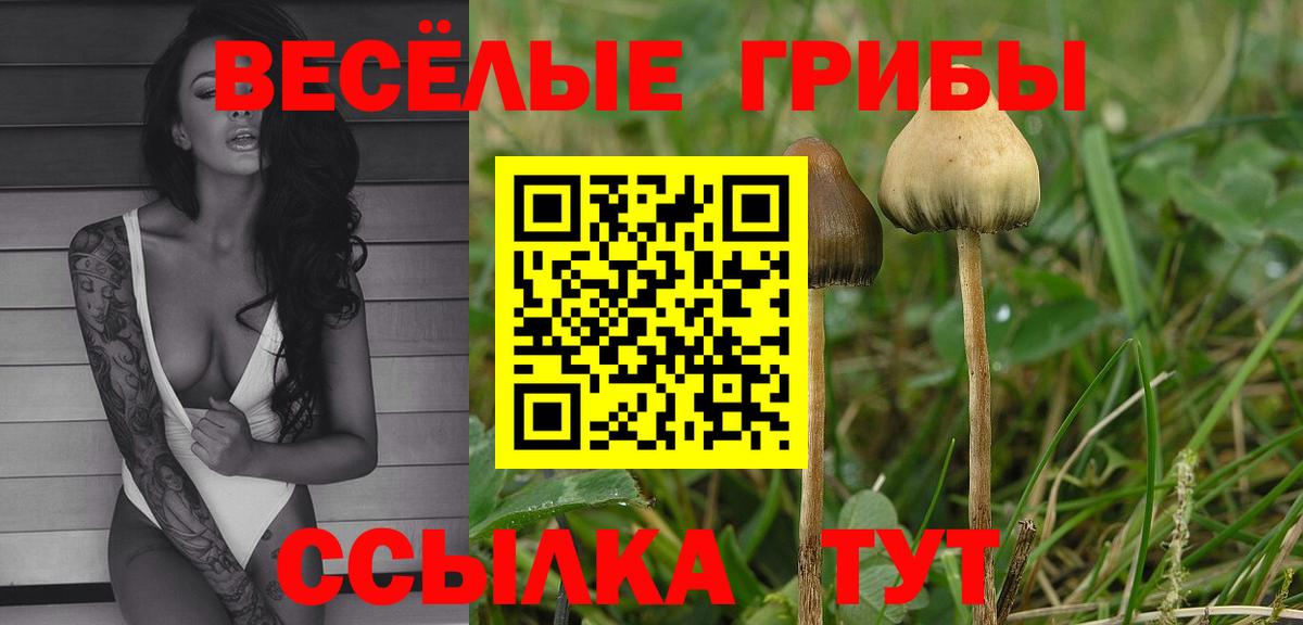 Галлюциногенные грибы мицелий  Вход с VPN  Спасск-Дальний 